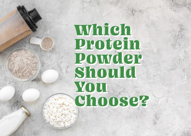 Which Protein Powder Should You Choose?