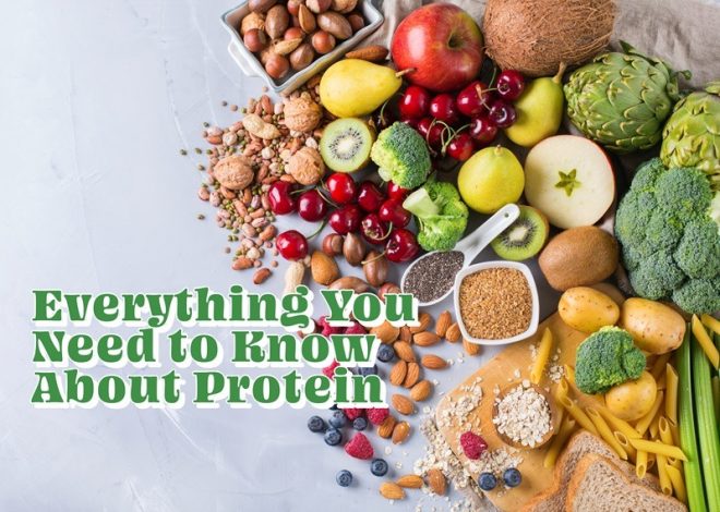 Everything You Need to Know About Protein Nutrition